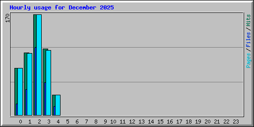 Hourly usage for December 2025