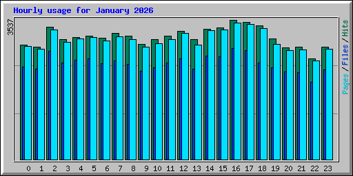 Hourly usage for January 2026