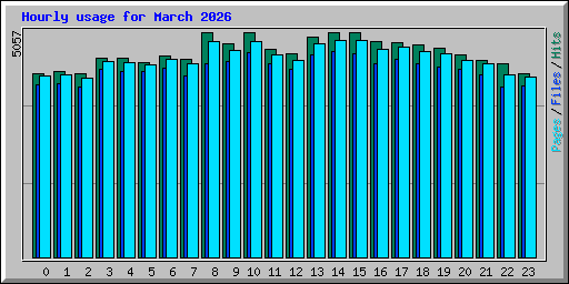 Hourly usage for March 2026