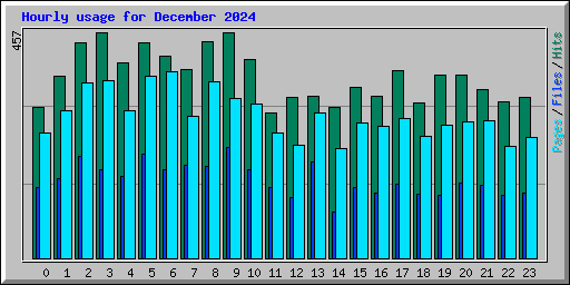 Hourly usage for December 2024