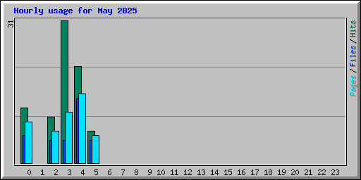 Hourly usage for May 2025