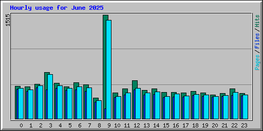 Hourly usage for June 2025