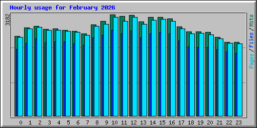 Hourly usage for February 2026